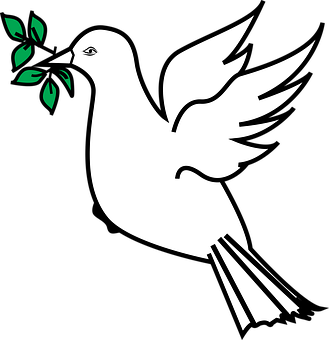 Peace Dove Vector Illustration PNG