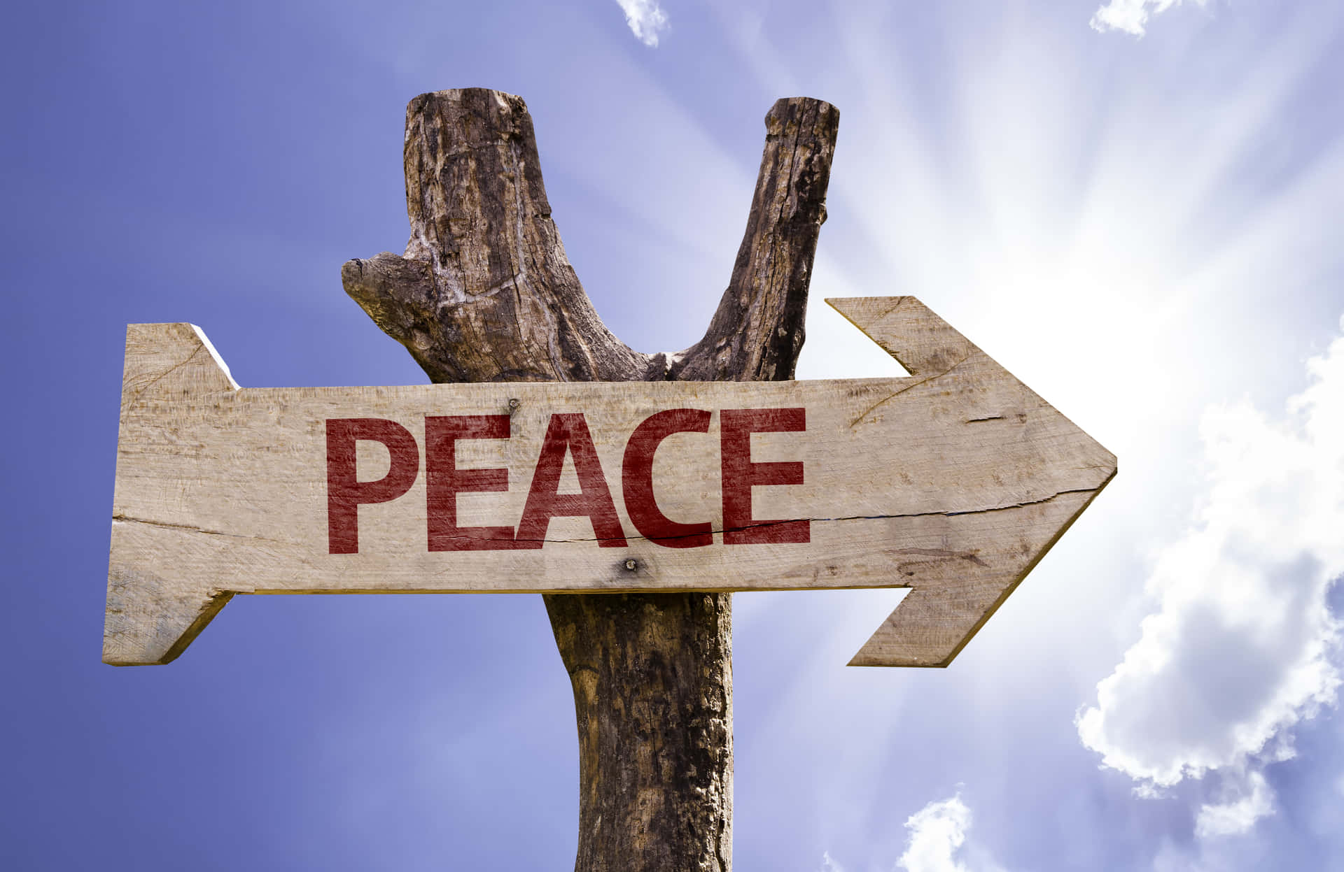 A Wooden Sign With The Word Peace
