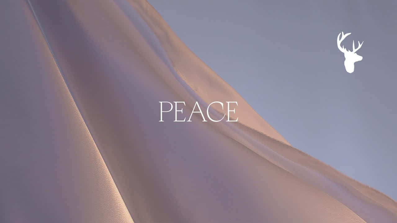 Let’s Embrace Peace