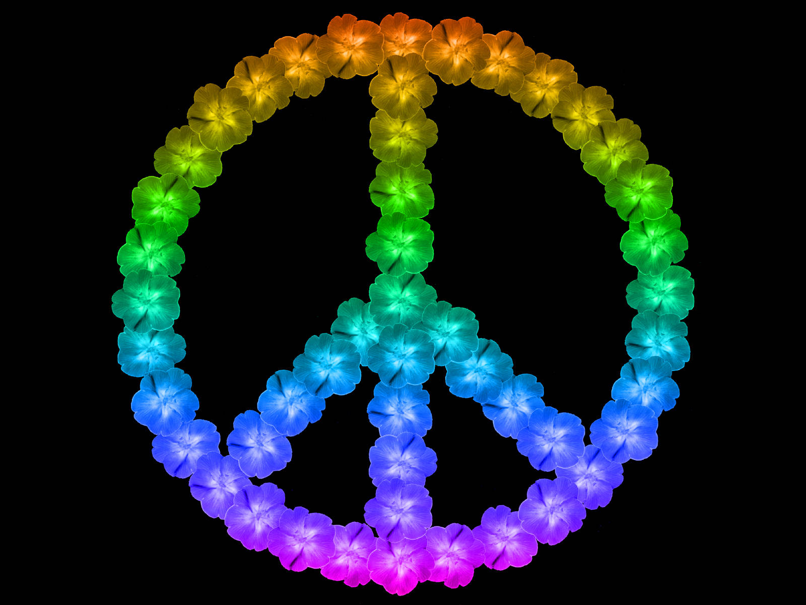Símbolode Paz Con Flores Arcoíris Fondo de pantalla