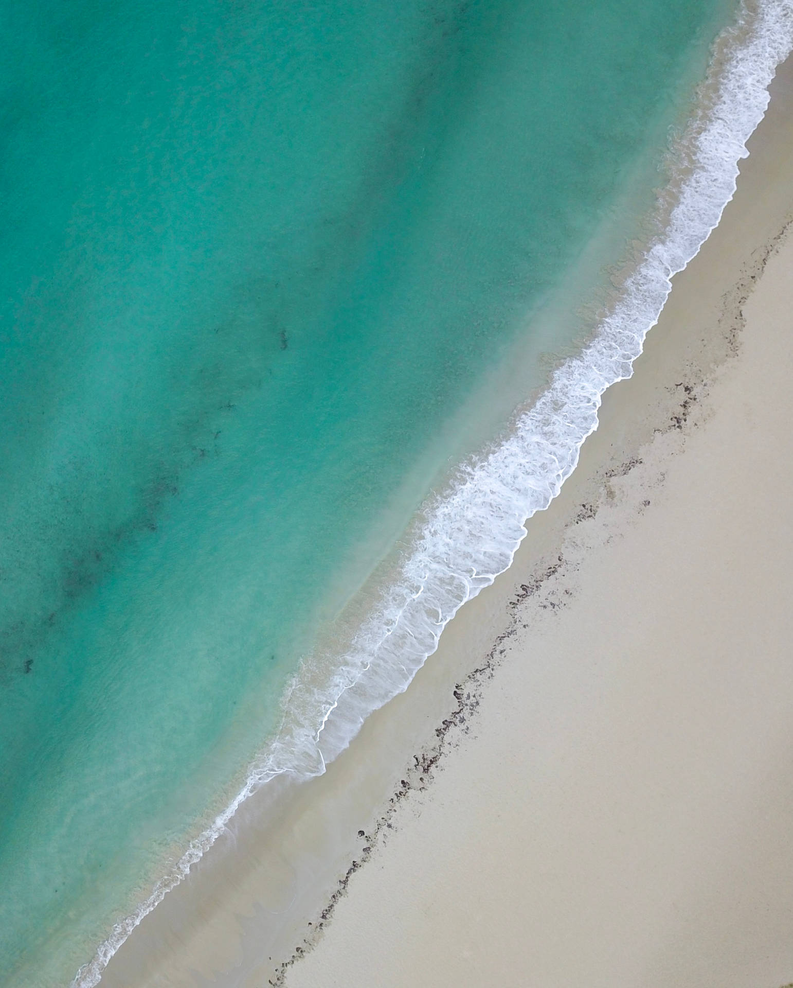 Peaceful Bondi Beach Australia Iphone