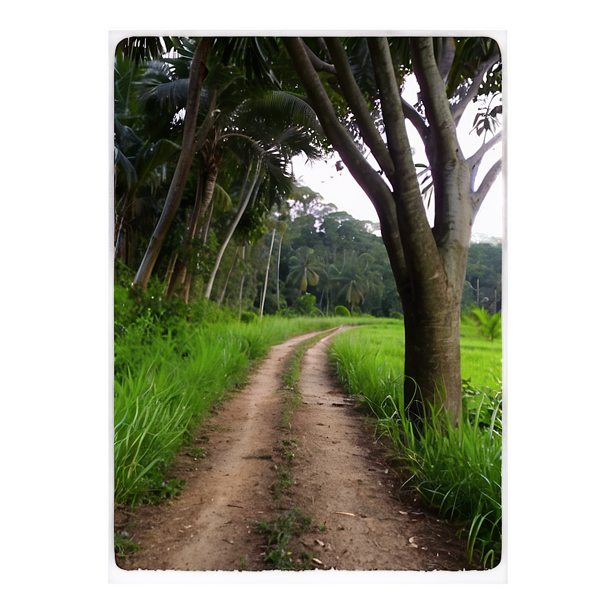 Peaceful Countryside Trail Png 7 PNG