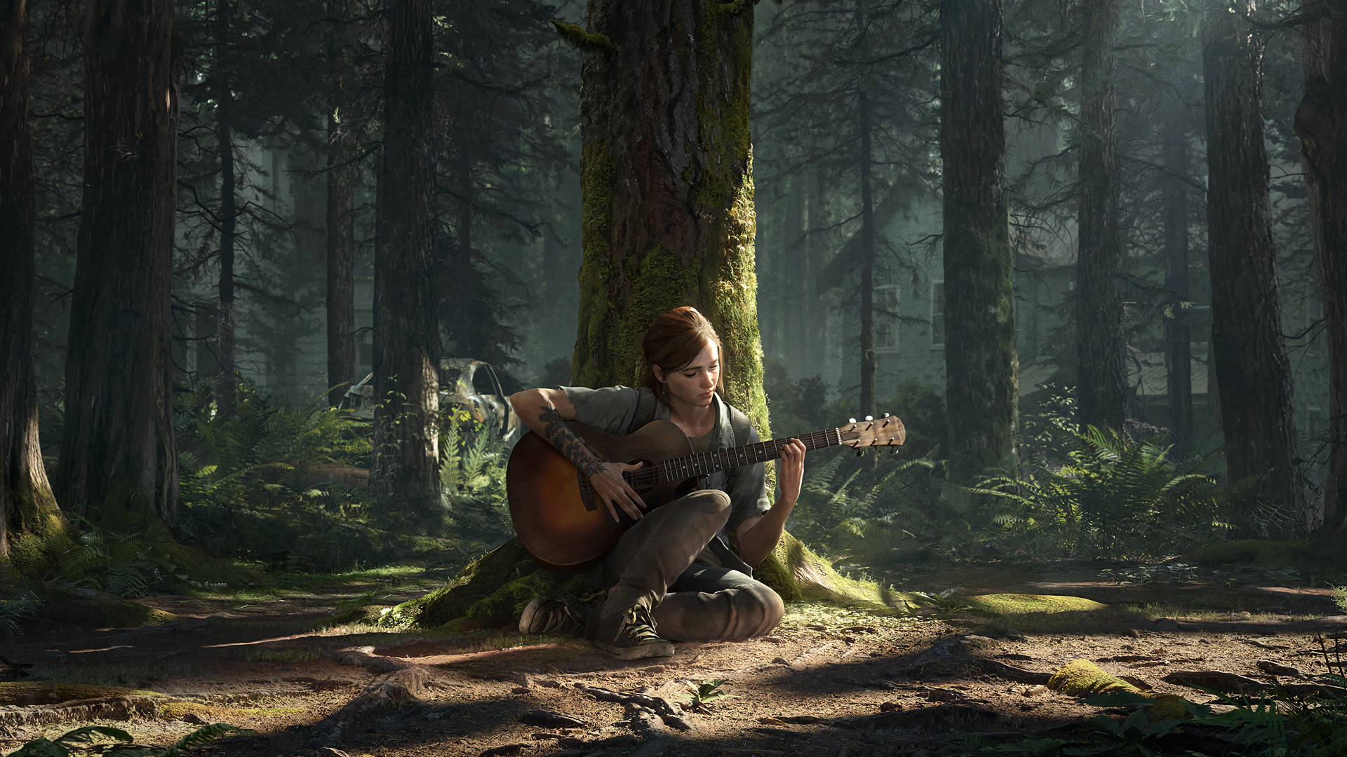 Peaceful Ellie The Last Of Us