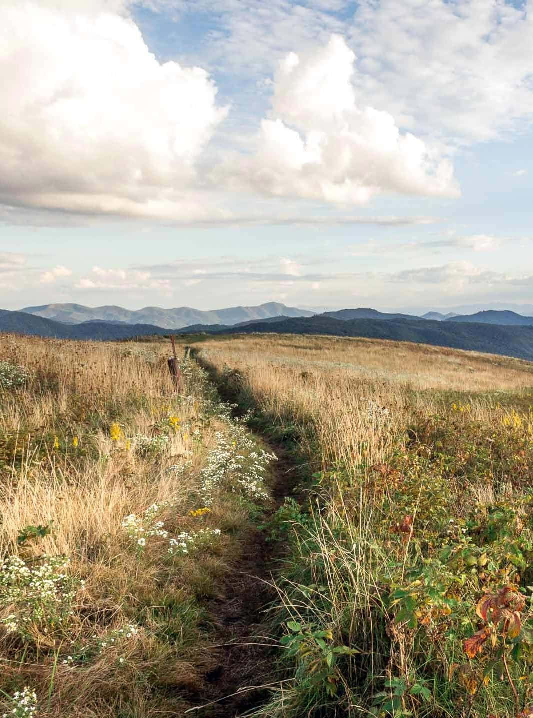 Peaceful Land Picture