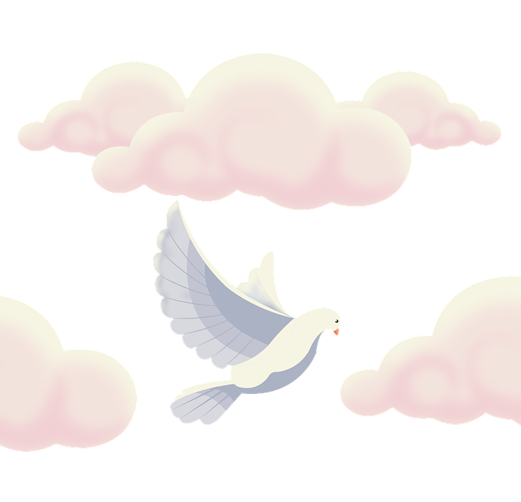 Peaceful Pigeon Among Clouds PNG