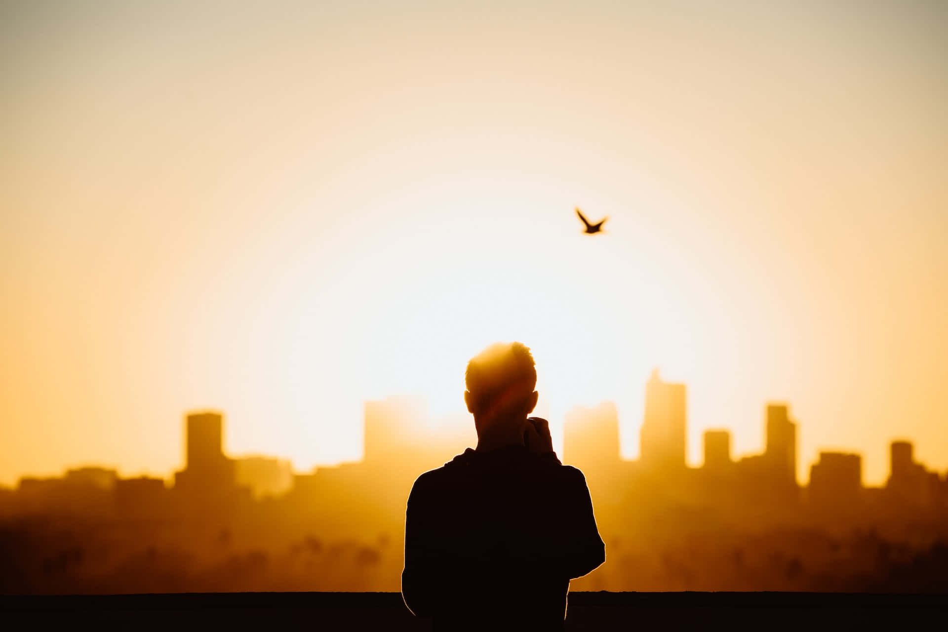 Silhouette Of A Man Watching A Bird Fly Over The City Wallpaper