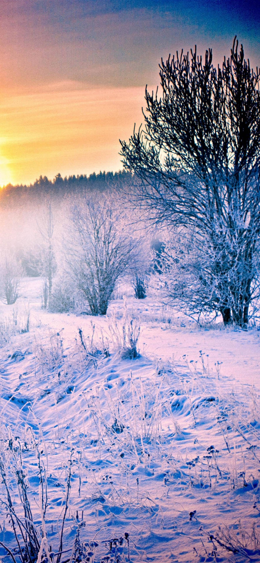 Peaceful Sunset Winter iPhone Wallpaper