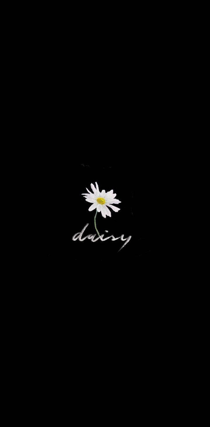 Peaceminusone Daisy blomst Flytbar Tapet Wallpaper