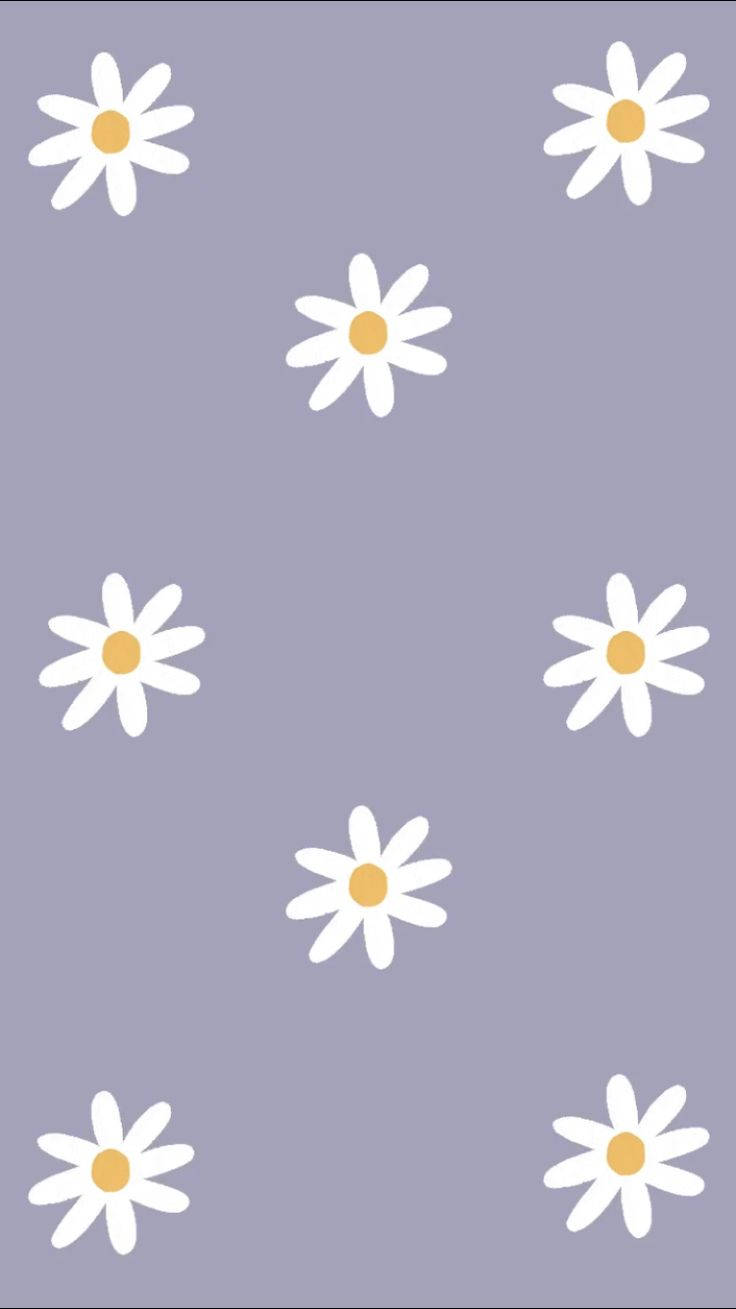 Daisy wallpaper Cut Out Stock Images  Pictures  Alamy