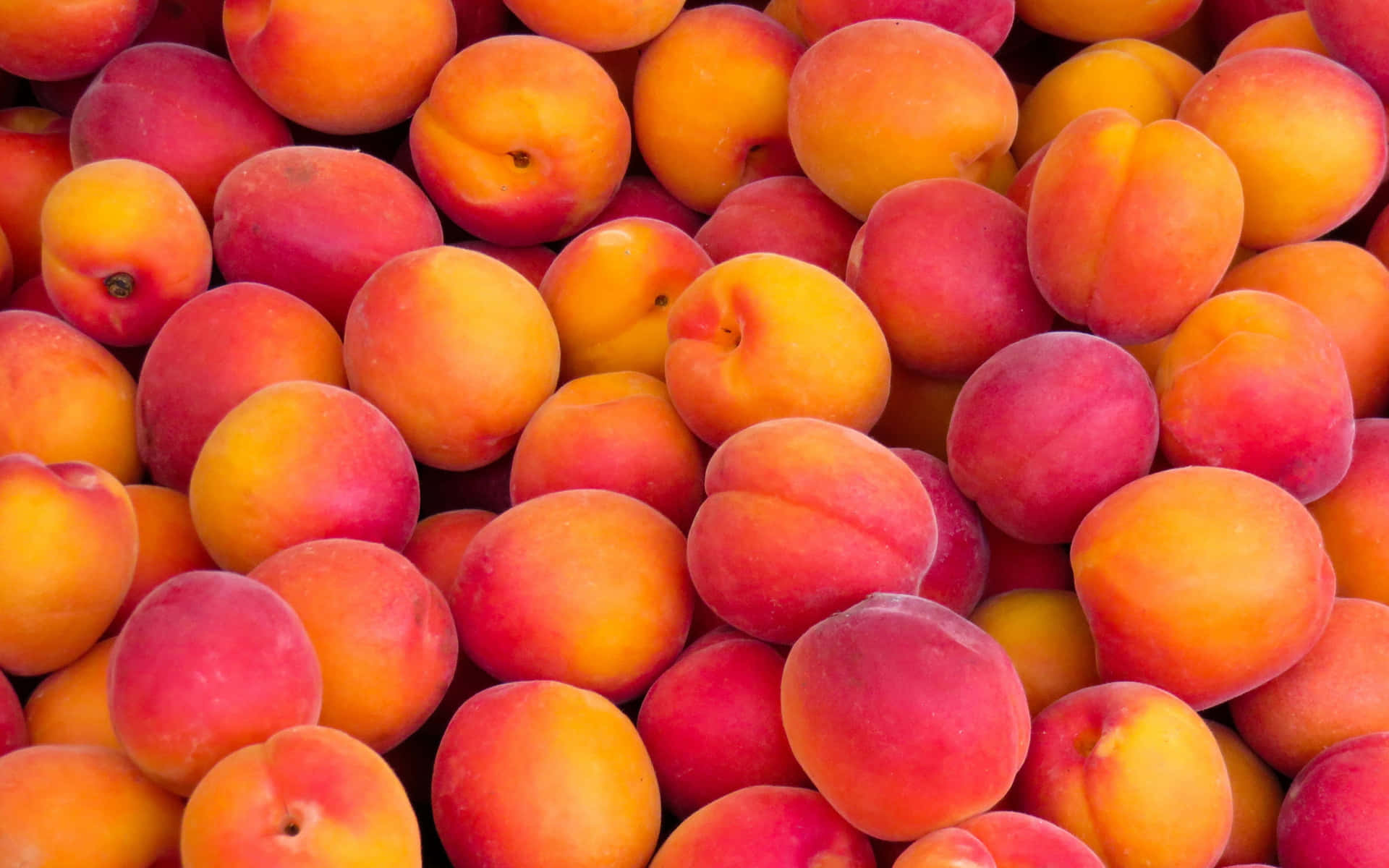A single, ripe peach lay atop a wooden crate in a field.