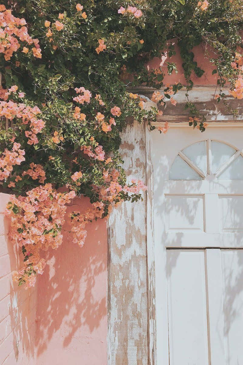 Peach Blossom Doorway Aesthetic Wallpaper