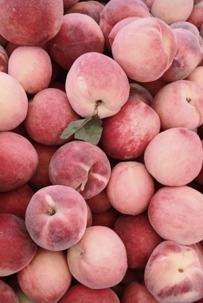Peach Color Aesthetic Fruits Wallpaper