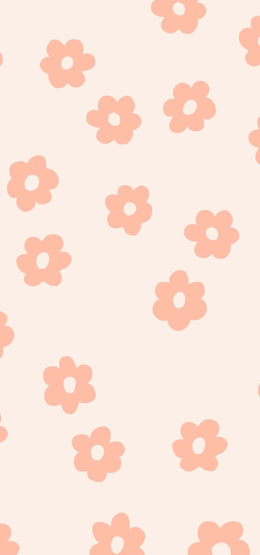 [100+] Peach Color Backgrounds | Wallpapers.com