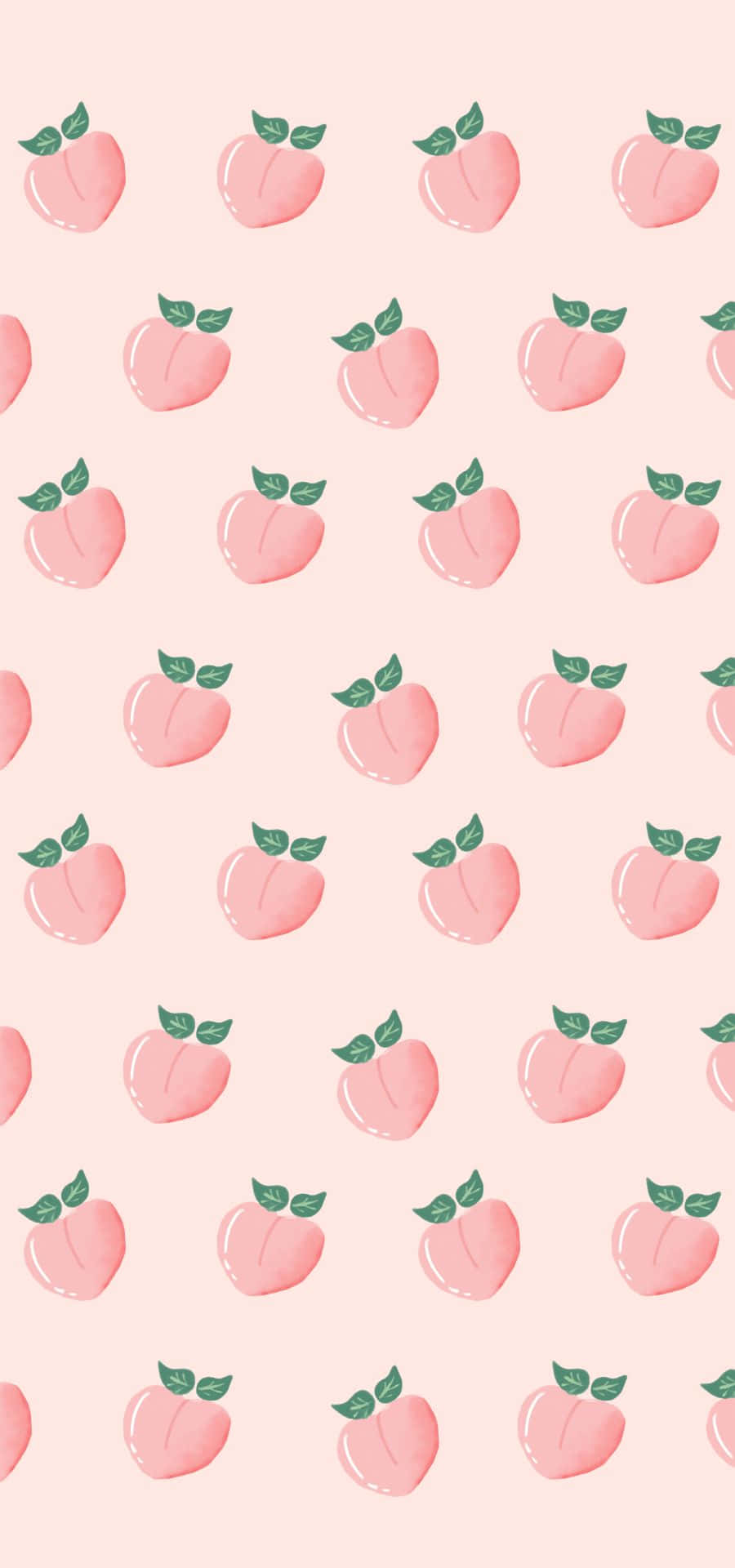 Download Peach Color Background 900 X 1920 | Wallpapers.com