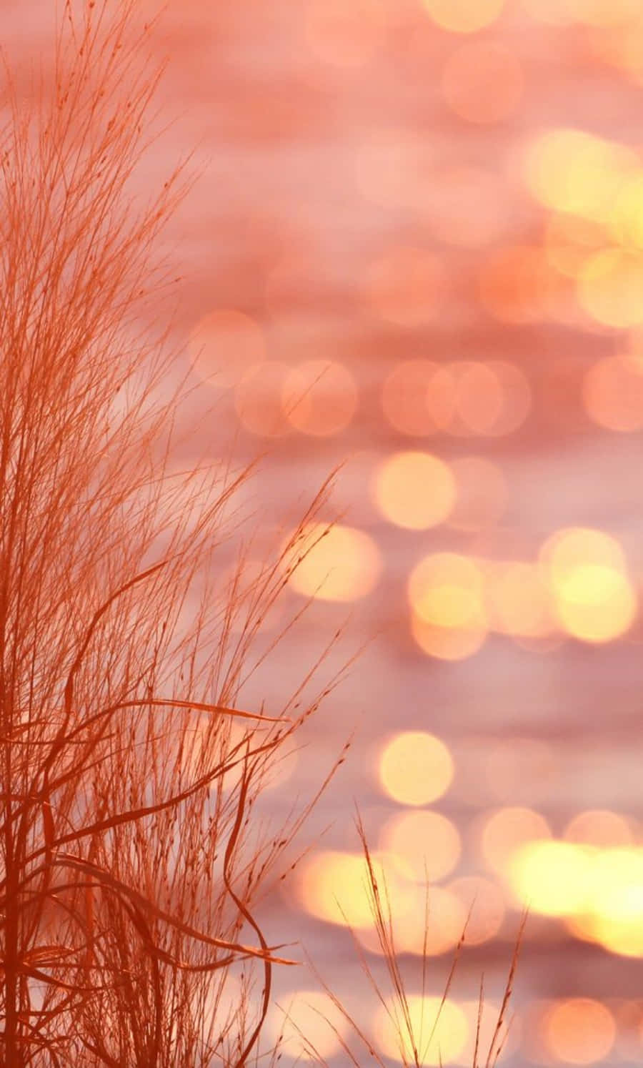 Pfirsichfarbenebilder Ästhetischer Sonnenuntergang