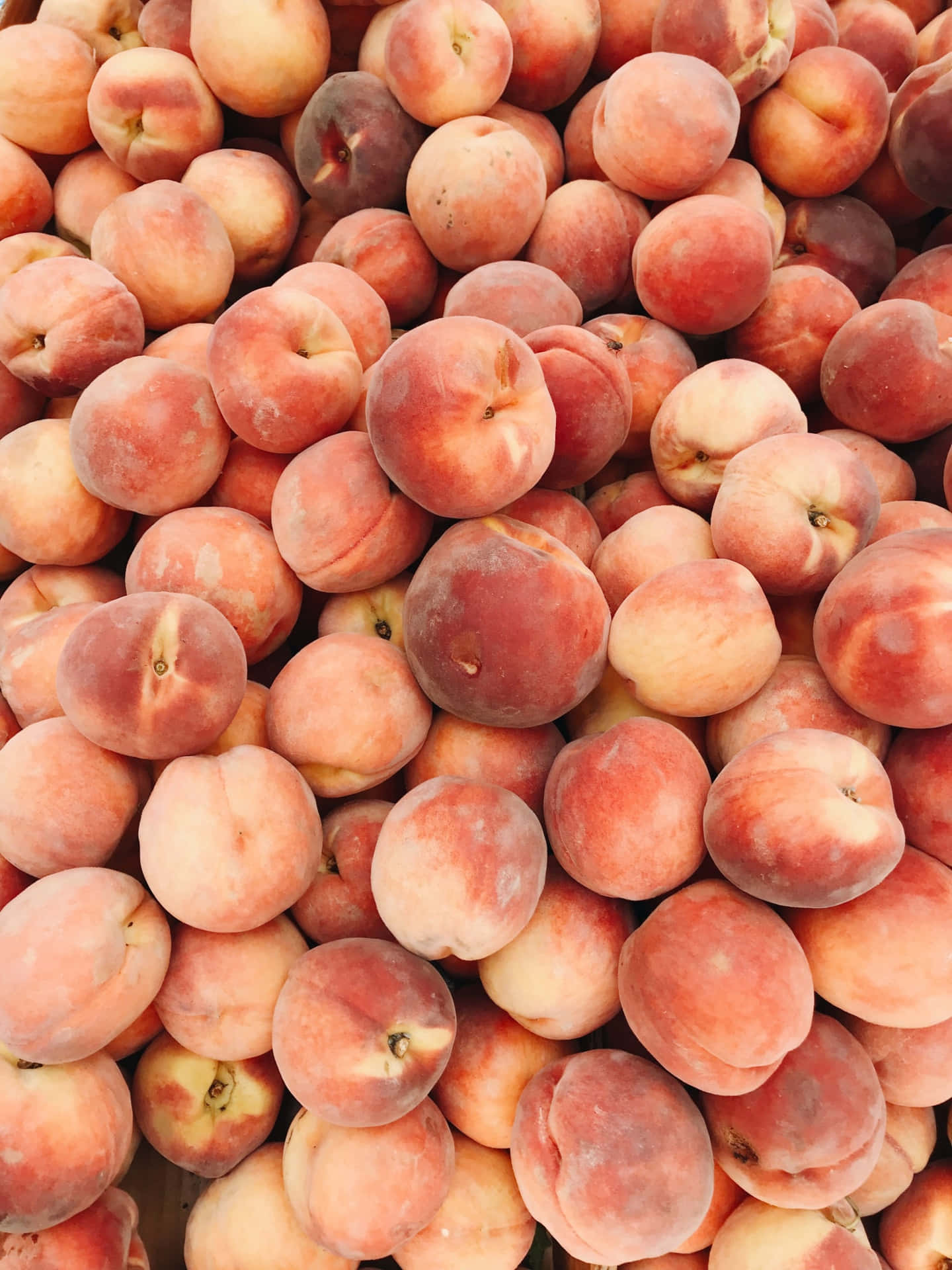 Fruit Peach Colour Picture