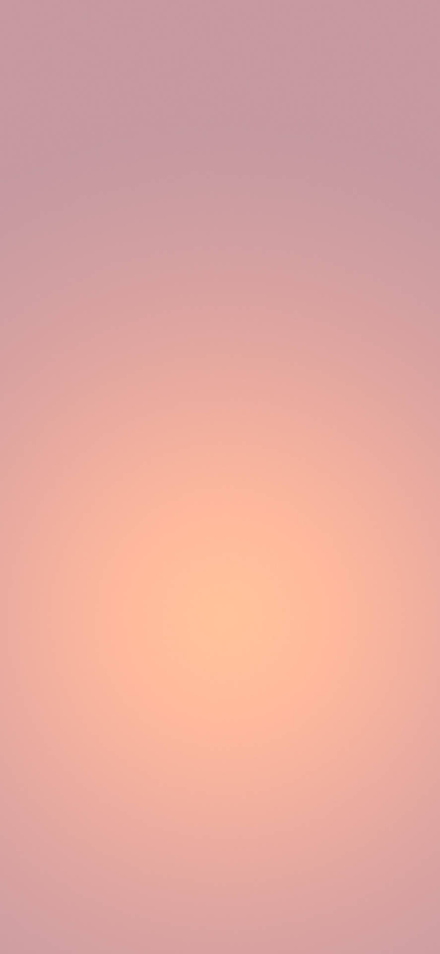 Peach Colour Simple Iphone Wallpaper