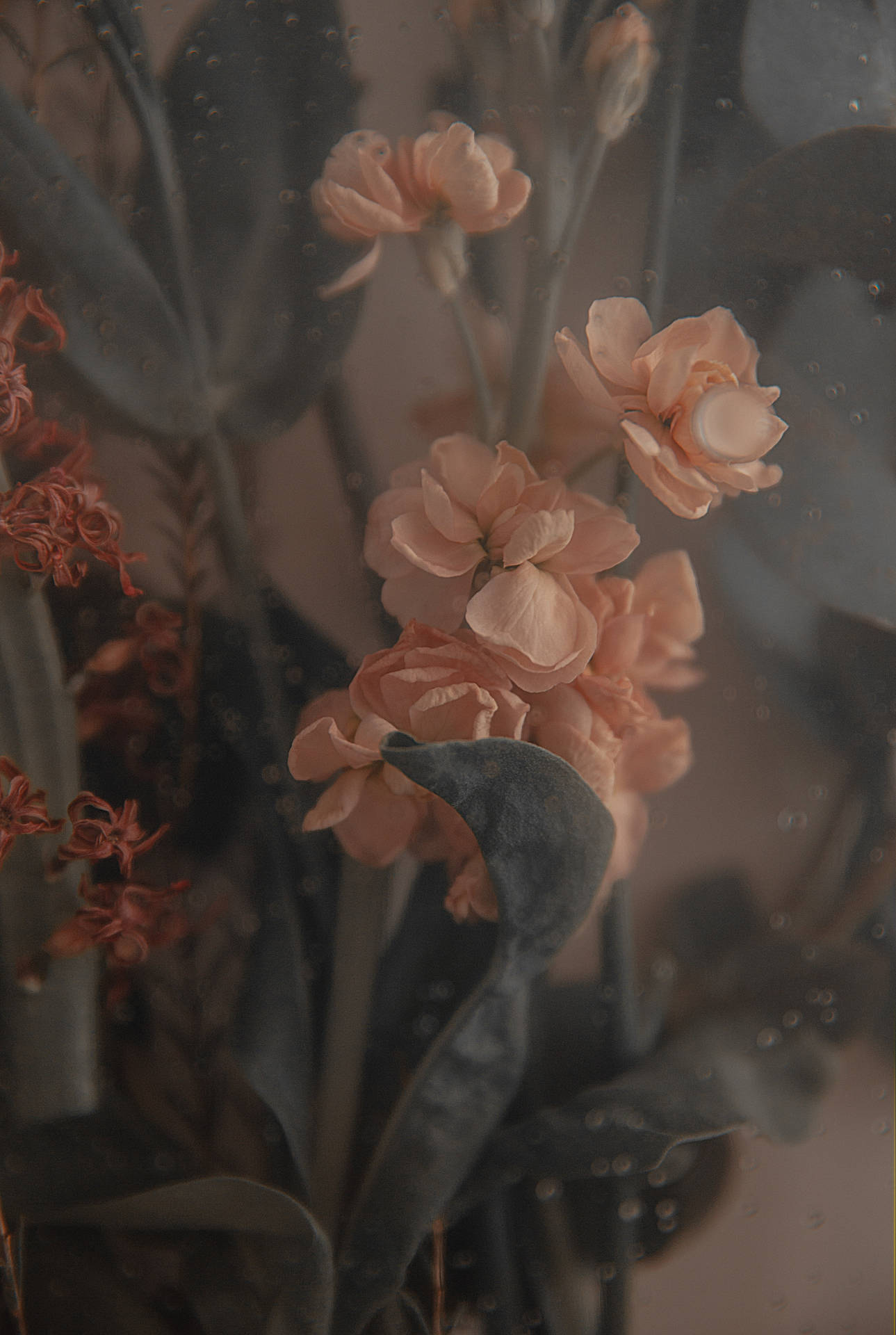 Peach Flowers Aesthetic Background