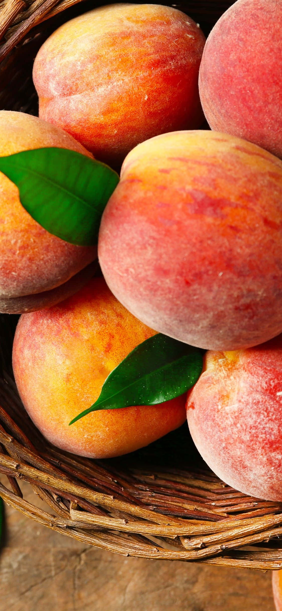 Unveil your bright and vibrant Peach Iphone Wallpaper