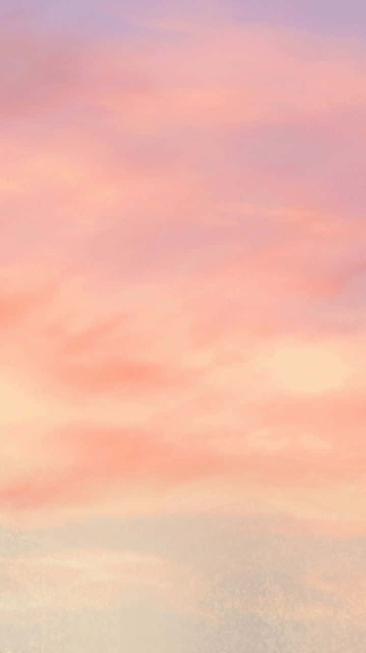 Enjoy the sweet summer vibes with a Peach Iphone Wallpaper