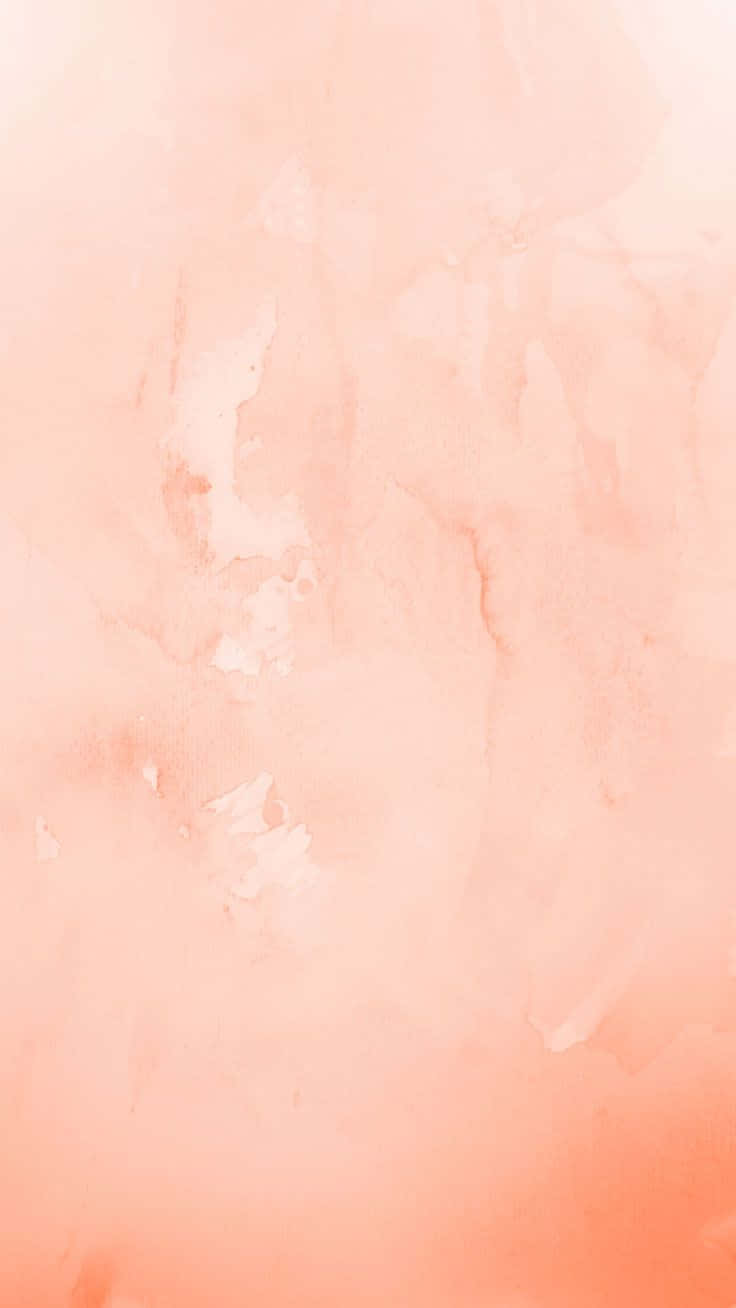 Peach Color Wallpapers  Wallpaper Cave