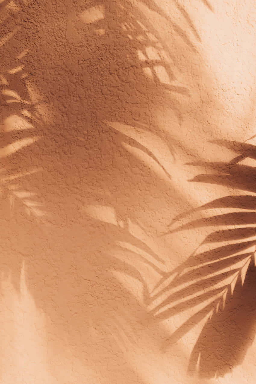 Peach Palm Shadow Aesthetic.jpg Wallpaper
