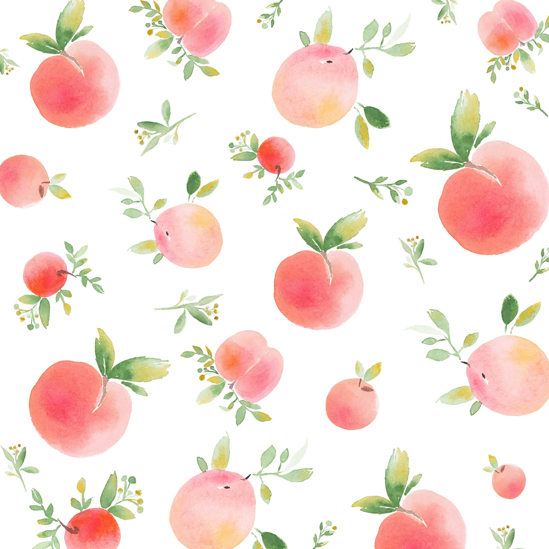 Summer will be delicious with an abundance of gorgeous peaches!