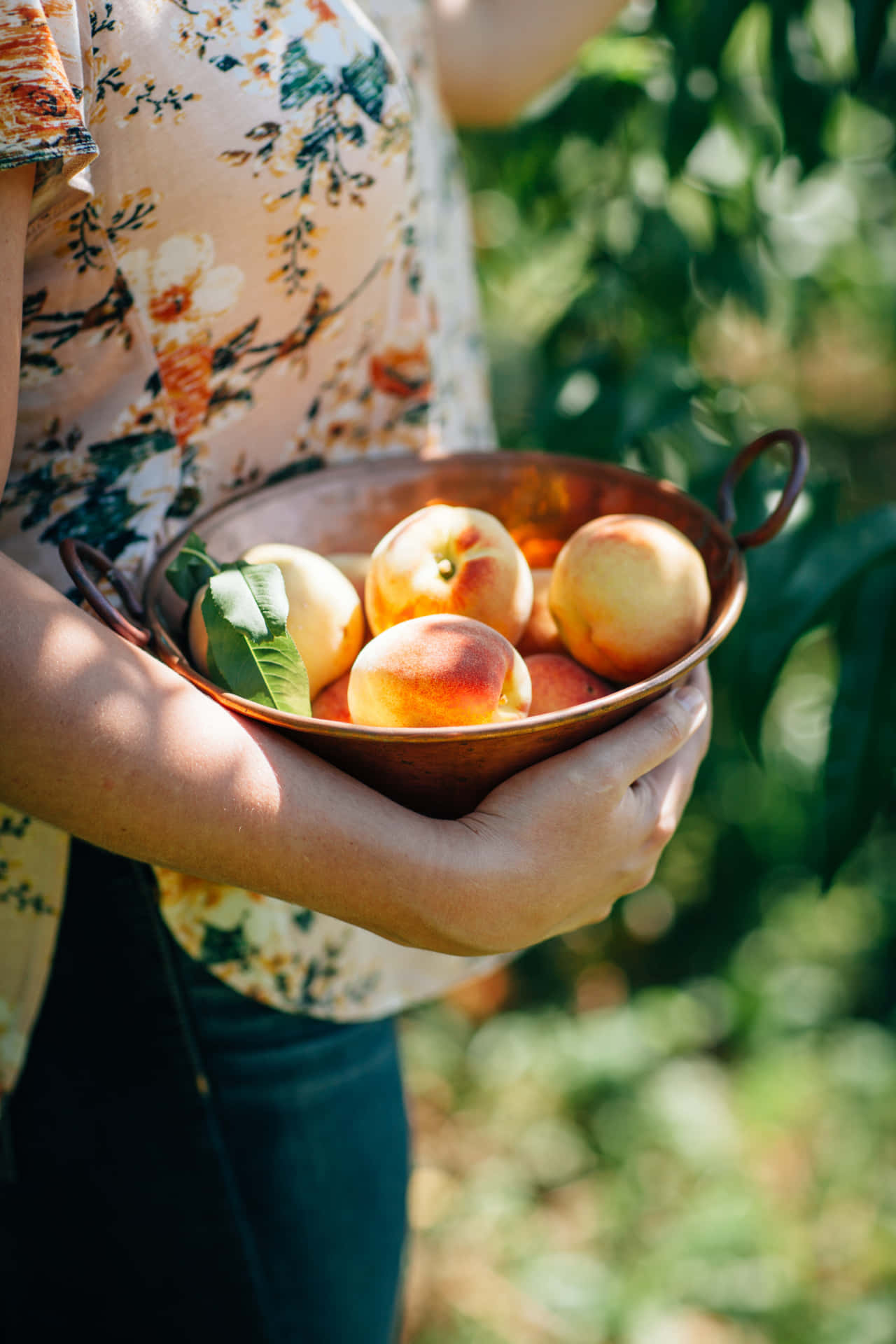 A Woman Holding A Bowl Of Peaches