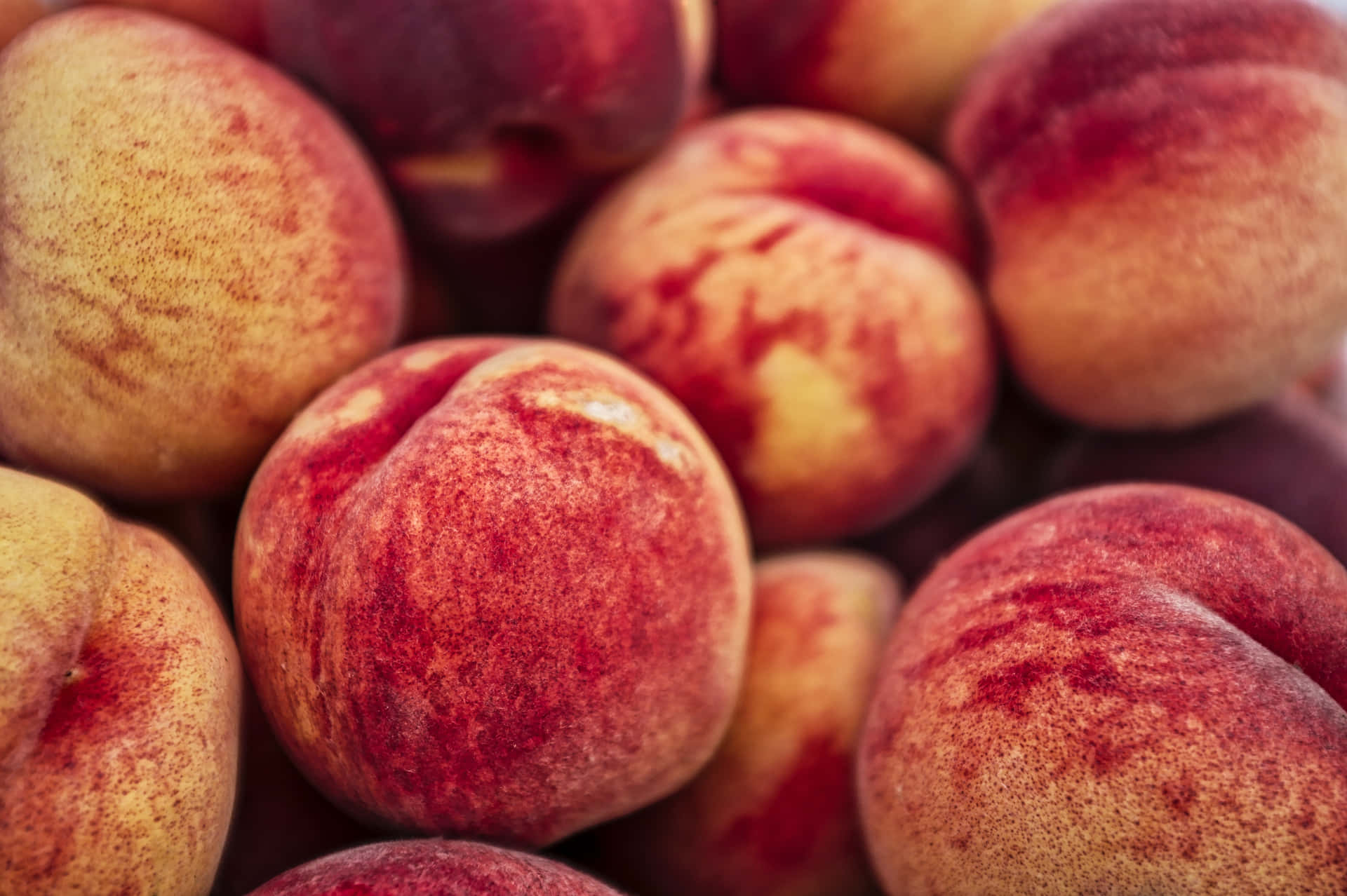 Enjoy this beautiful bowl of ripe, juicy peaches!