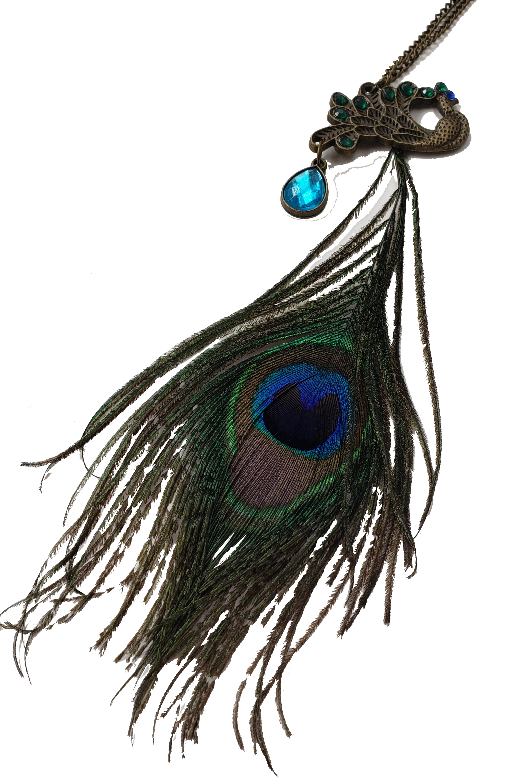 Peacock Feather Pendant Jewelry PNG