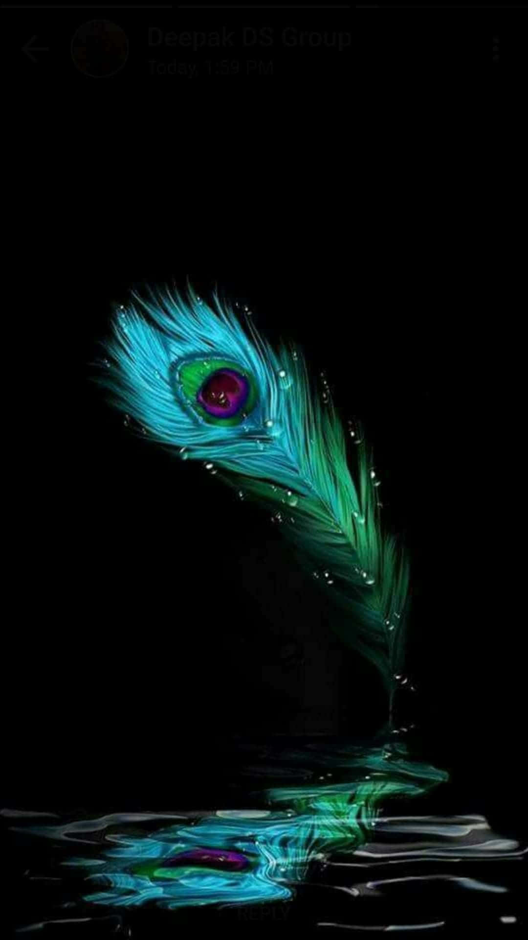 A colorful peacock feather capturing the beauty of nature