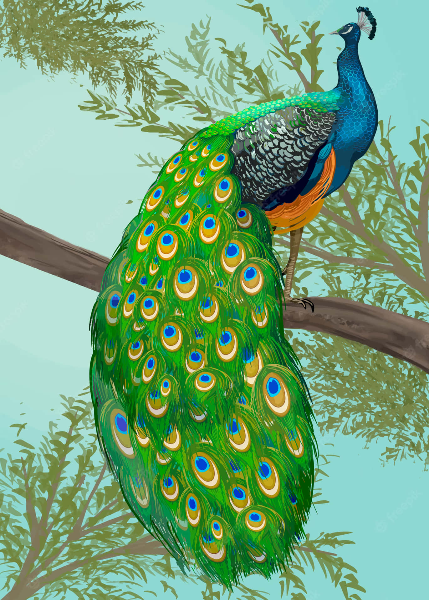 Vibrant Peacock Showing Flamboyant Plumage