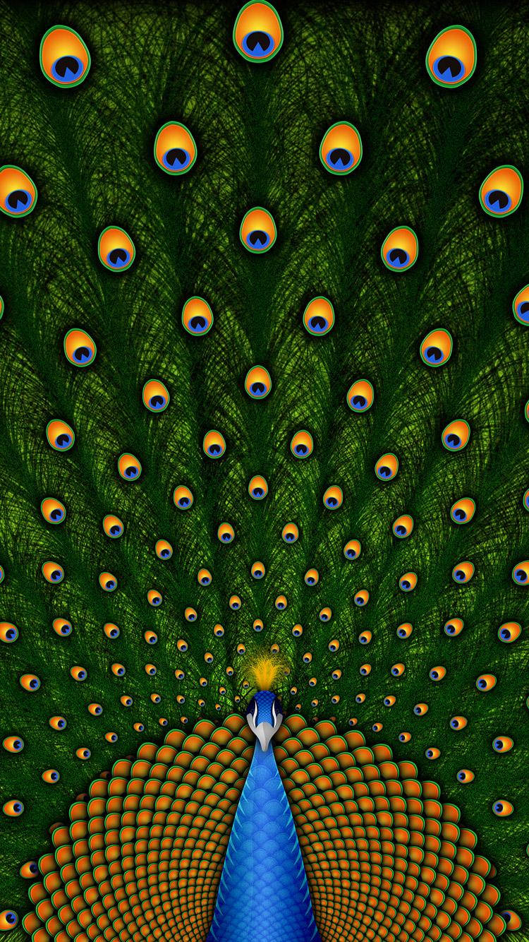 Peacock Train Beautiful Phone