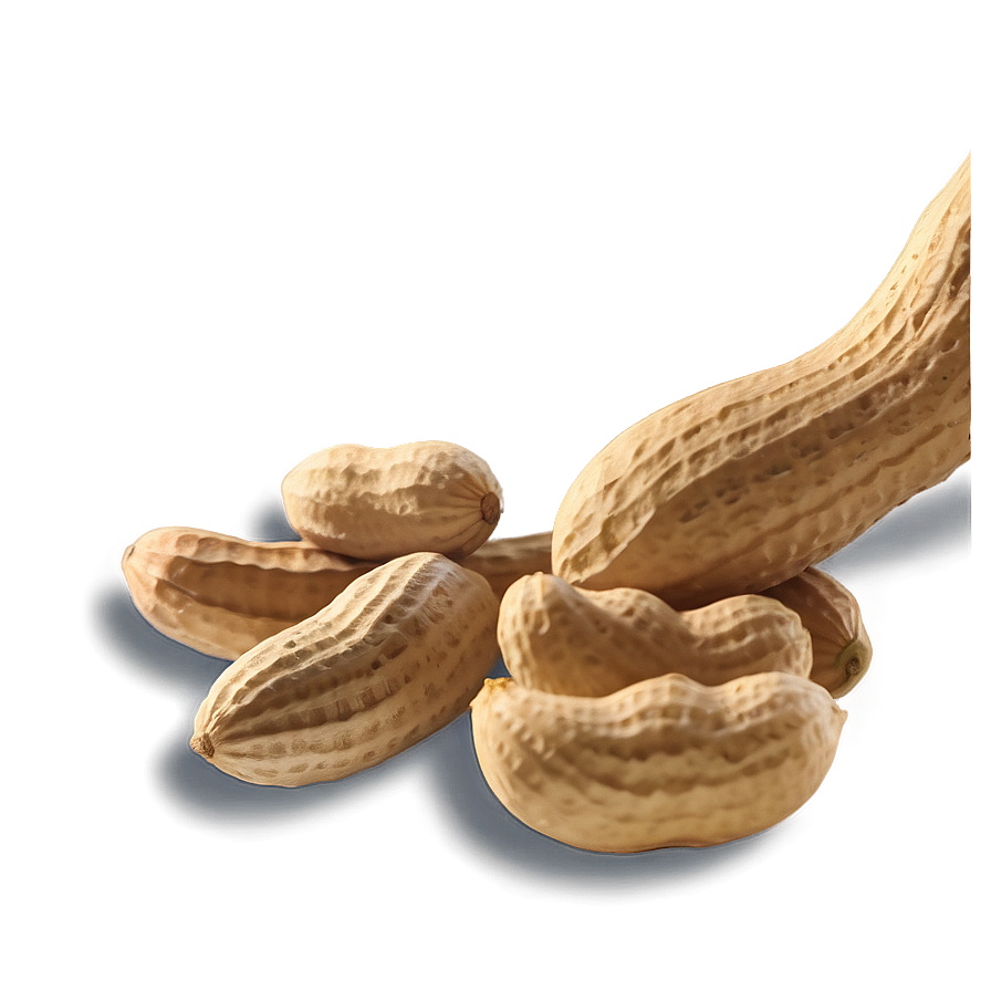 Download Peanut Harvest Scene Png 79 | Wallpapers.com