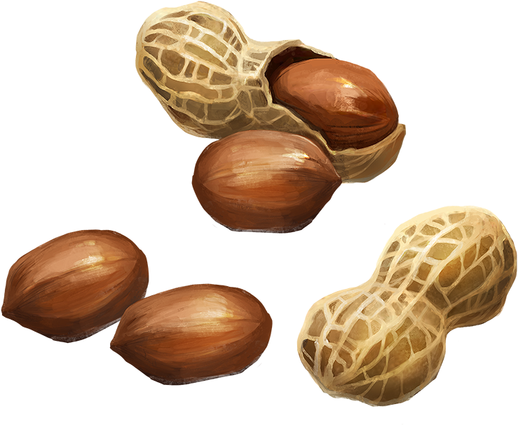 Peanuts Illustration PNG