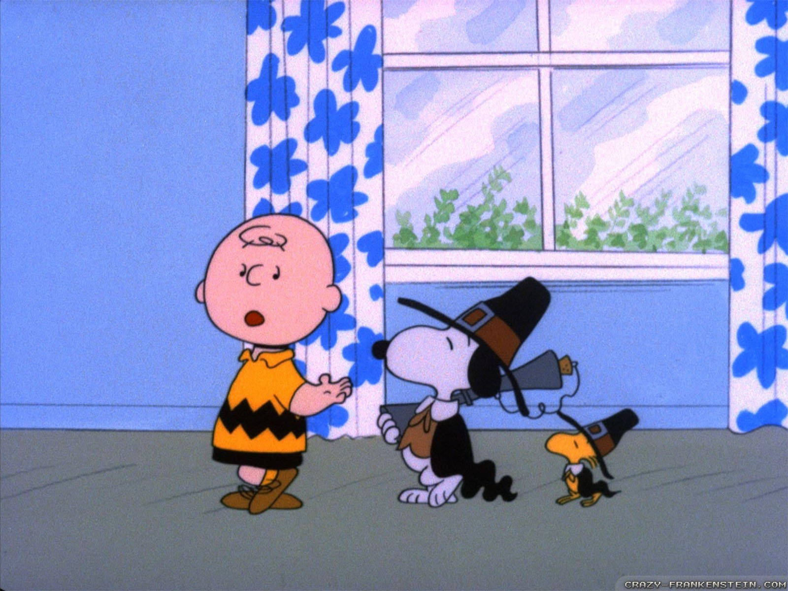 Peanuts Thanksgiving Episode Still Wallpaper