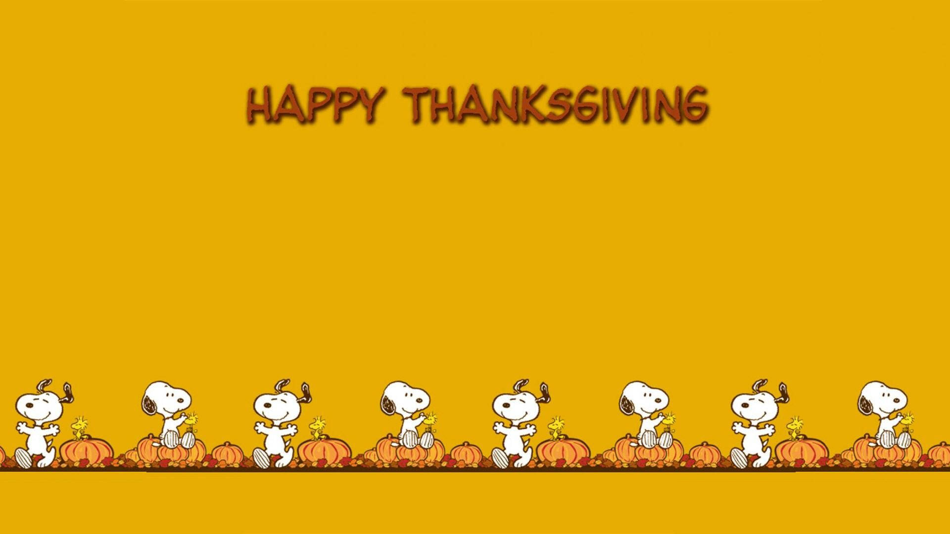 Peanuts Thanksgiving Snoopy And Pumpkin Wallpaper