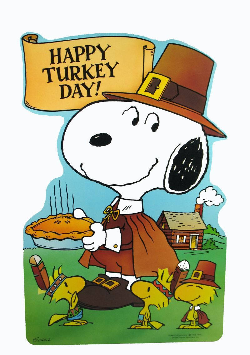 Peanuts Thanksgiving With Pilgrim Snoopy Wallpaper