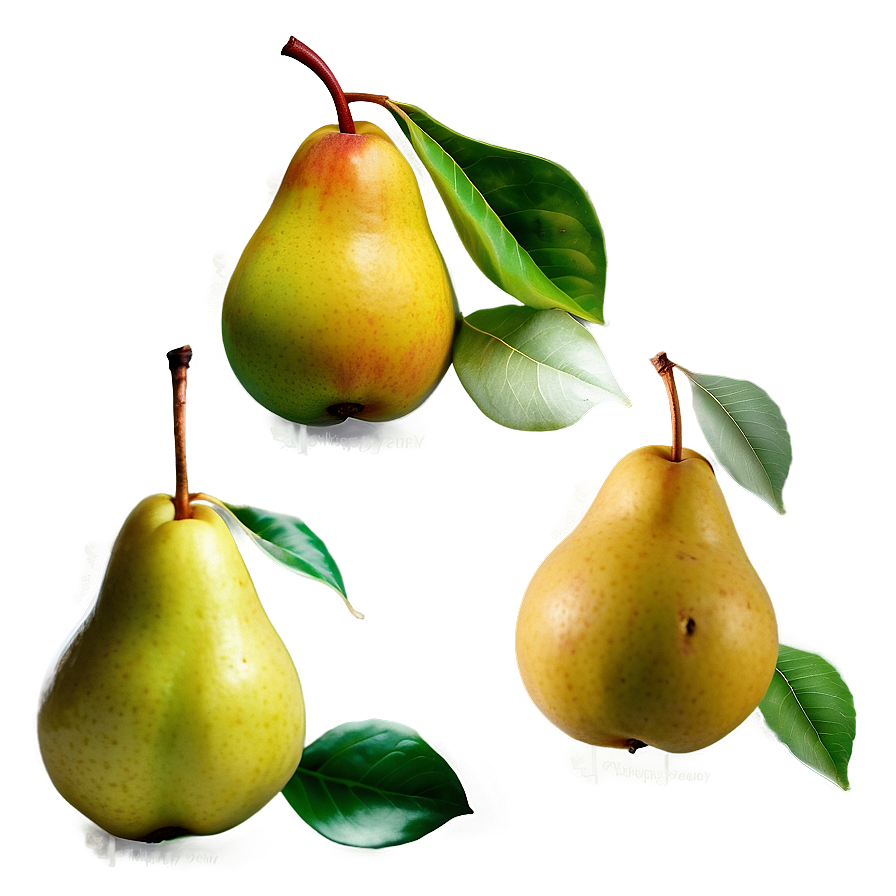 Pear Composition Png Nsb PNG