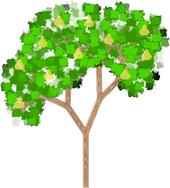 Pear Tree Illustration PNG
