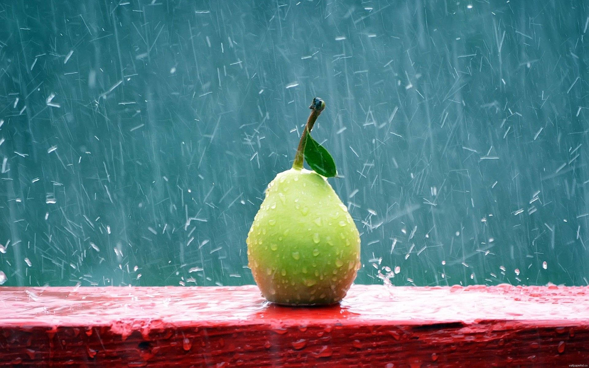 Pear Under The Rain Full Hd Computer Desktop Wallpaper