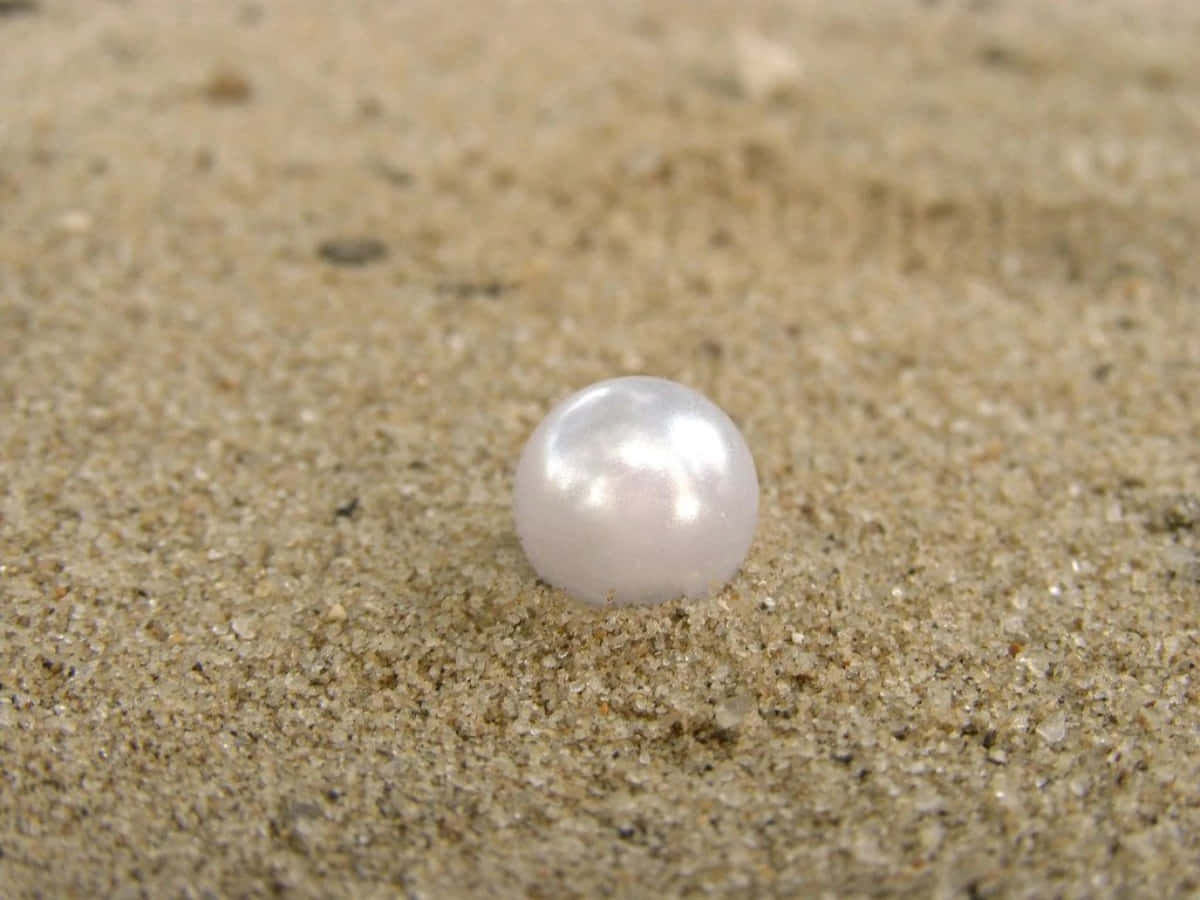 Nature's Gem - A Lustrous Pearl