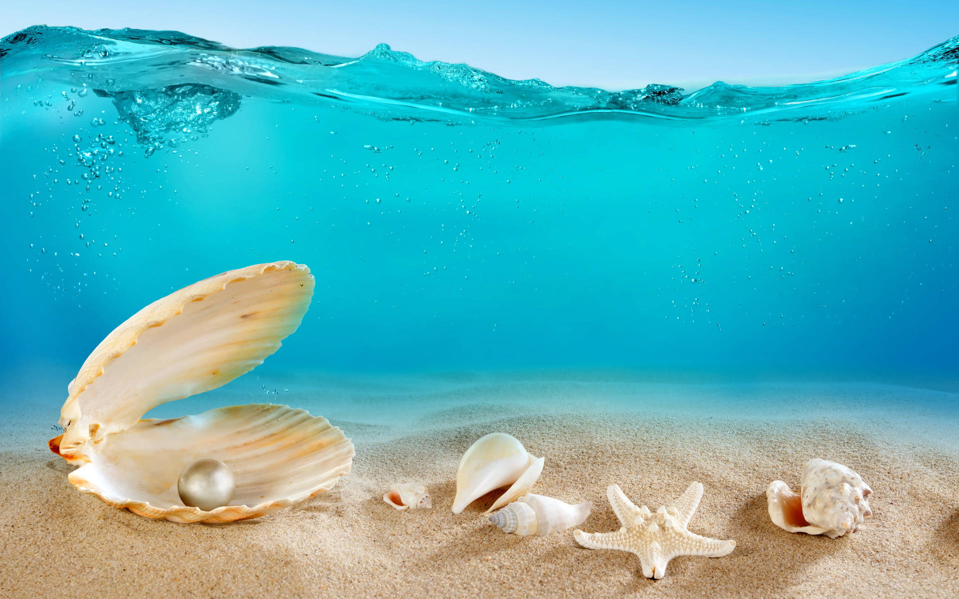 Pearl In Shell Underwater Wallpaper