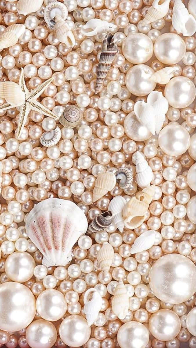 Pearland Sea Shell Texture Wallpaper