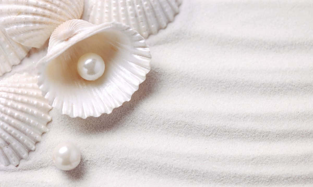 Pearlin Shellon Sand Wallpaper