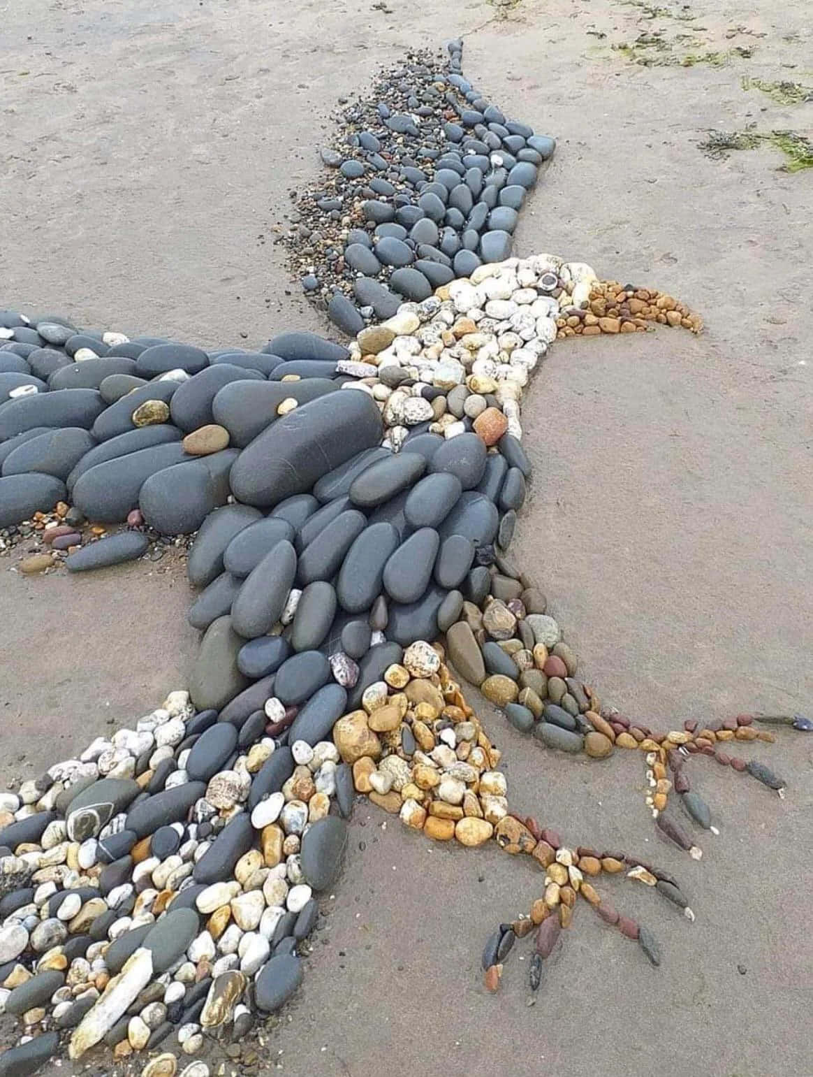 A Bird Made Of Pebbles On The Beach