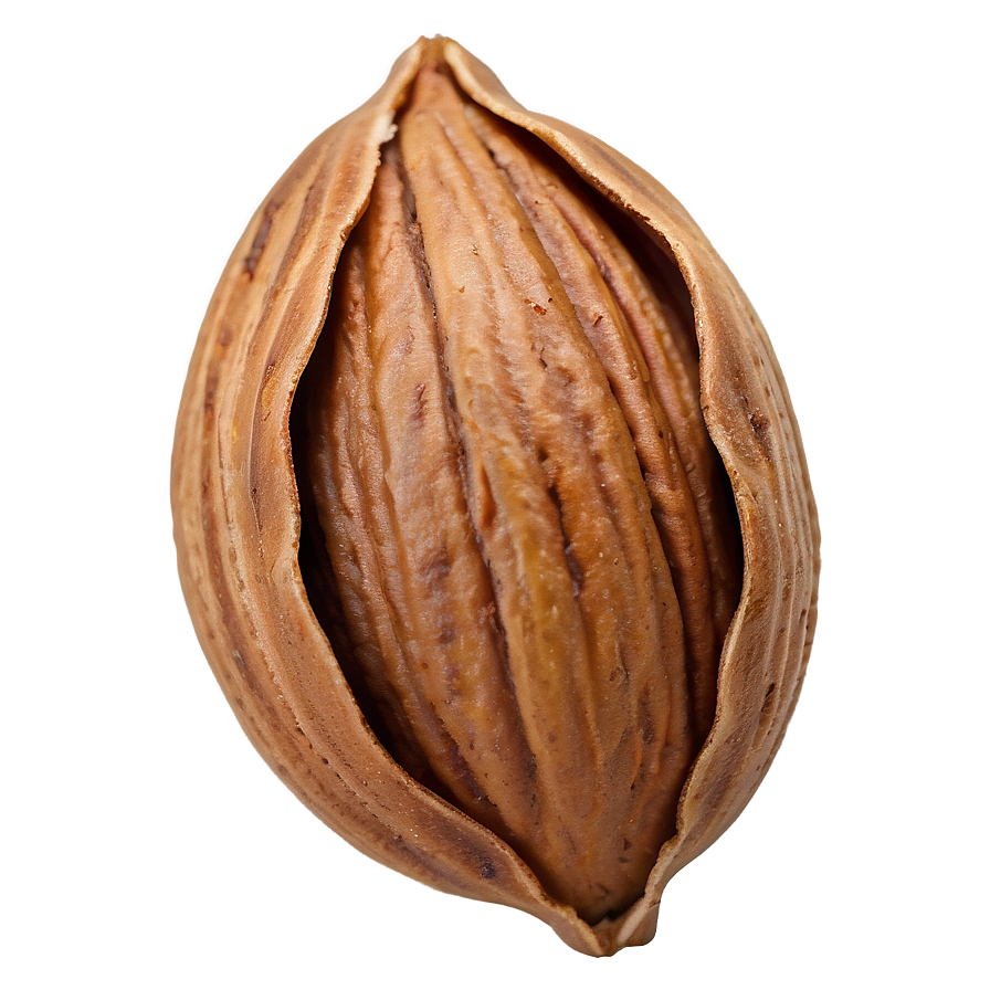 Pecan Nut Png Jyn43 PNG