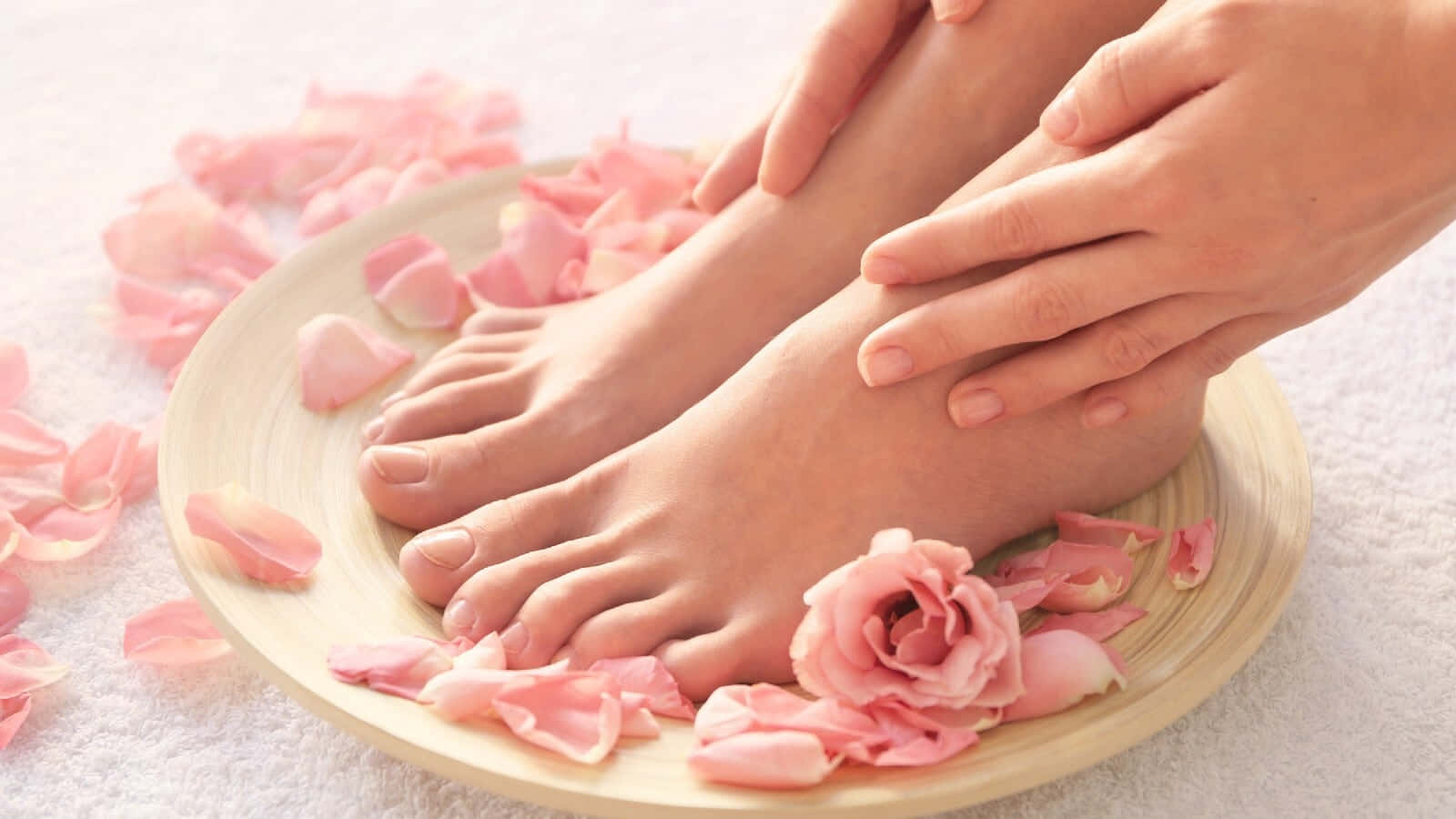 Woman's Feet Soaked In Rose Petals Pedicure Picture