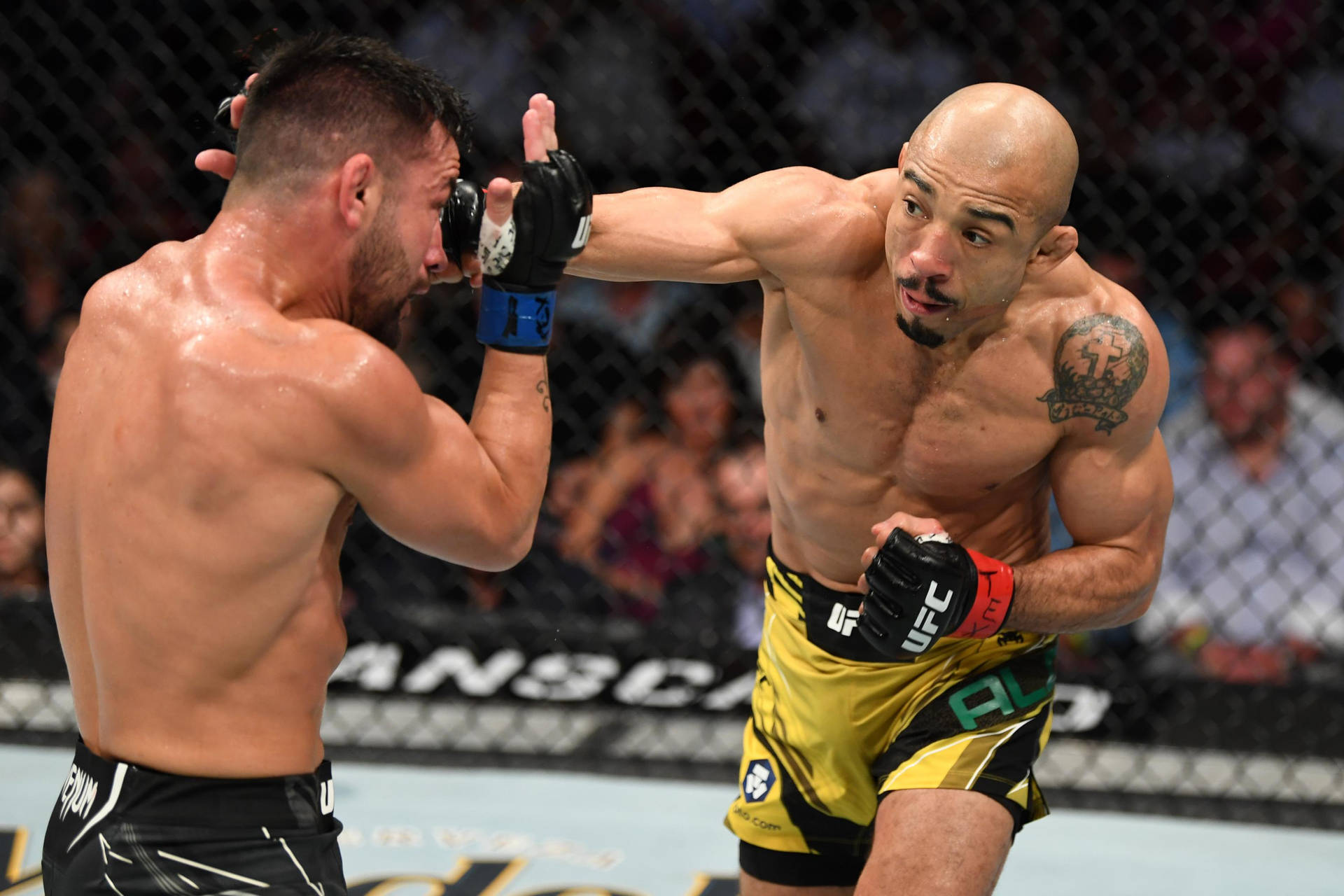 Pedro Munhoz Successfully Blocking Punch in MMA Fight Wallpaper