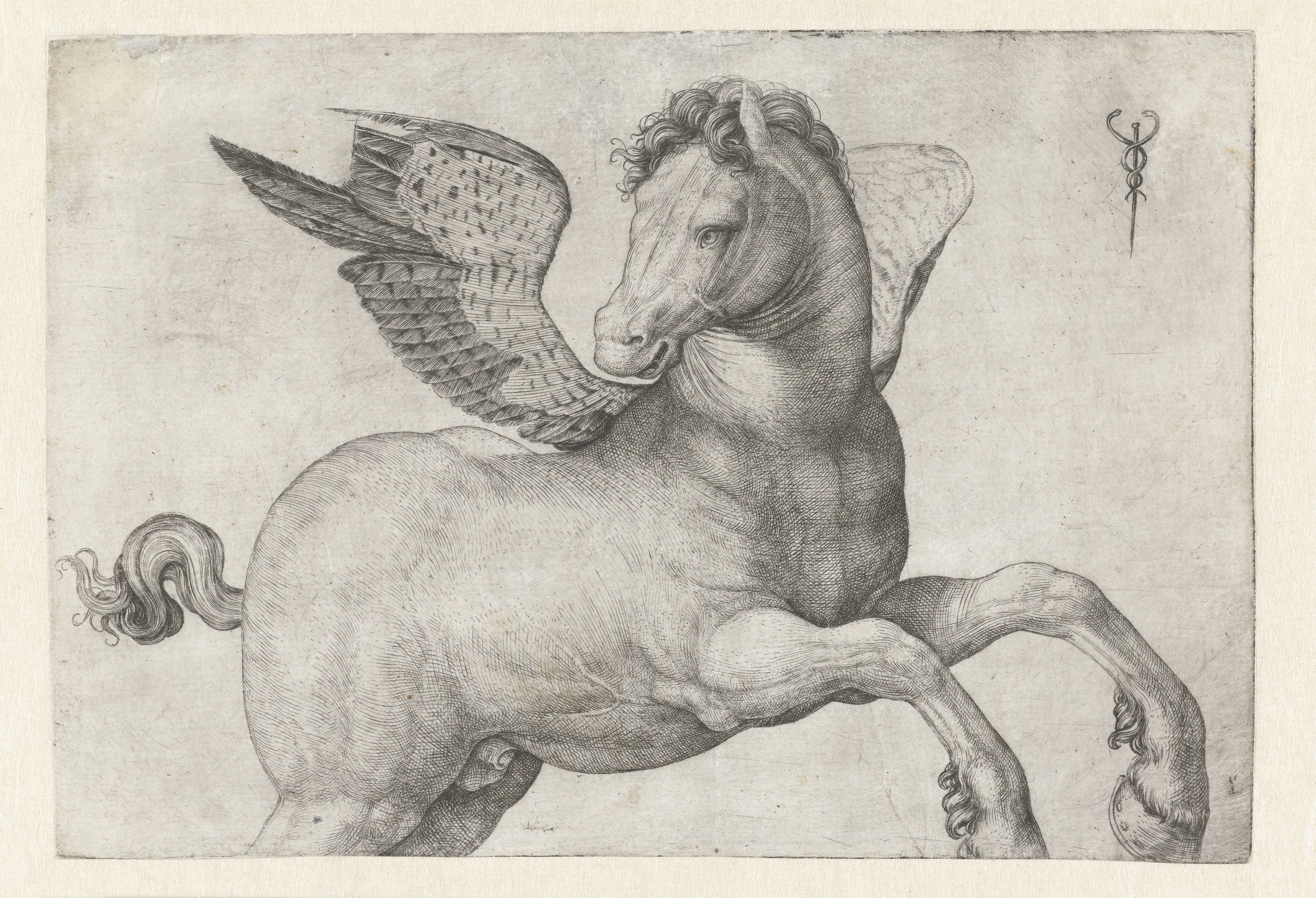 Pegasus Wallpaper